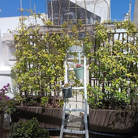 Torreparadiso Holidays بولينيانو آ ماري المظهر الخارجي الصورة